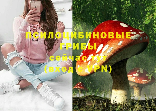 мет Козельск
