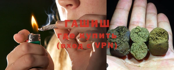индика Козловка