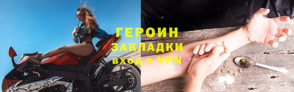 индика Козловка