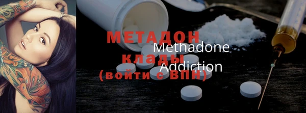 индика Козловка