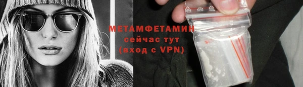 индика Козловка