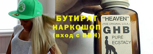 индика Козловка