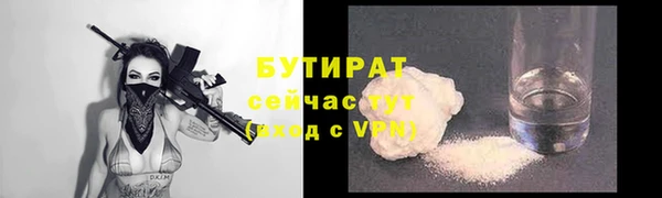 индика Козловка
