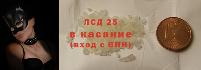 индика Козловка