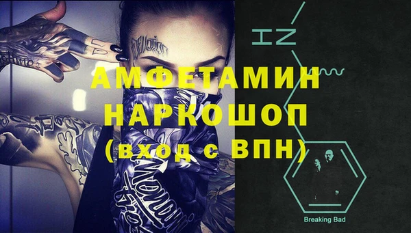 индика Козловка