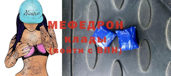 индика Козловка