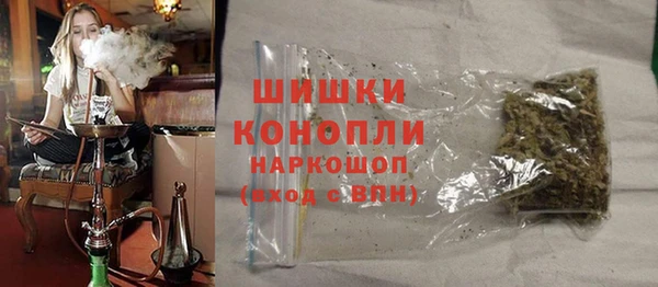 индика Козловка
