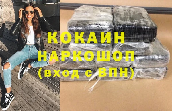 индика Козловка